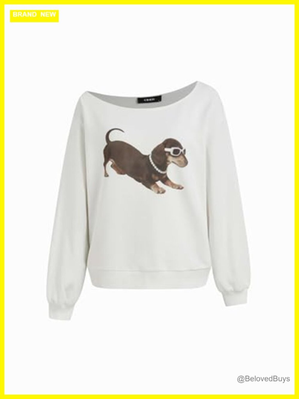 Dachshund Graphic Sweatshirt Asymmetrical Neck Pullover